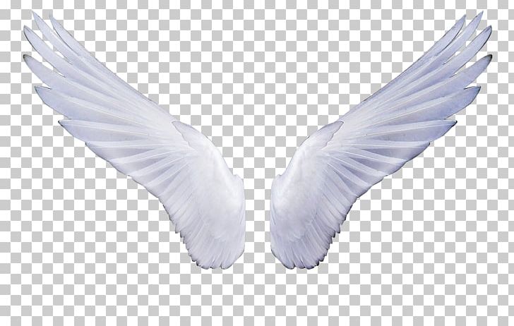 Angel Michael PNG, Clipart, Angel, Angel Wing, Angel Wings, Beak, Bird Free PNG Download