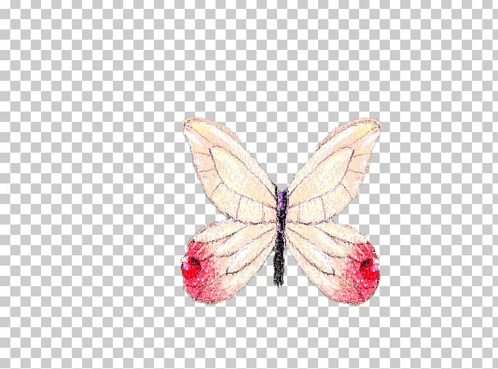 Butterfly Pattern PNG, Clipart, Blue Butterfly, Butterflies, Butterfly, Butterfly Group, Butterfly Wings Free PNG Download