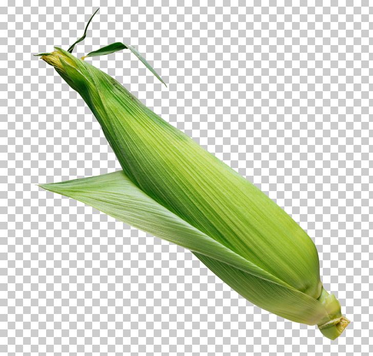 Corn On The Cob Sweet Corn Popcorn Flint Corn PNG, Clipart, Cereal, Commodity, Corn, Corncob, Corn On The Cob Free PNG Download