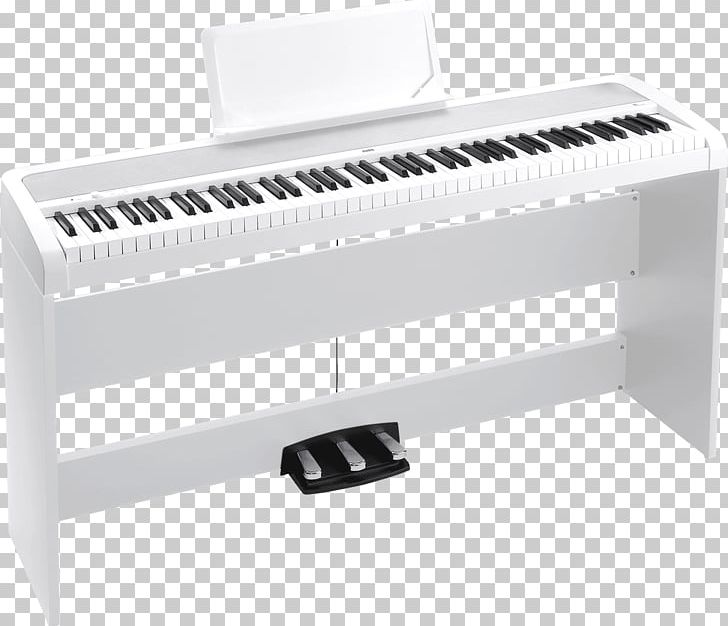 Digital Piano Korg Electronic Keyboard Stage Piano PNG, Clipart, Action, Angle, Celesta, Digital Piano, Ele Free PNG Download