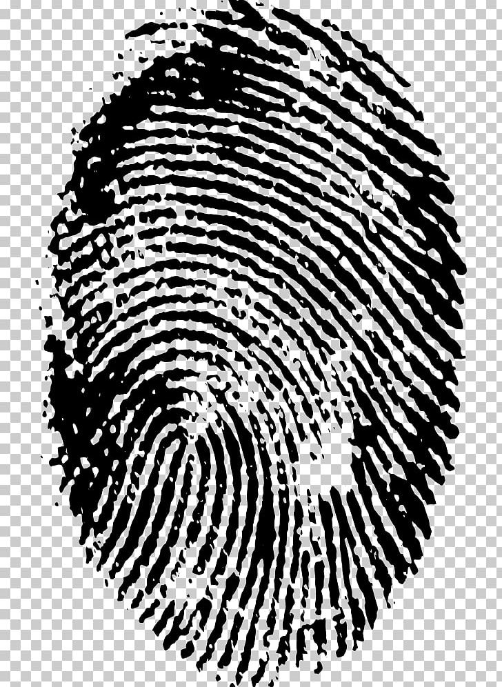 Fingerprint Spiral PNG, Clipart, Area, Black, Black And White, Circle, Digital Media Free PNG Download