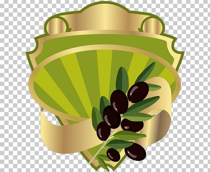 Olive Drawing PNG, Clipart, Cooking, Depositphotos, Drawing, Floral Design, Flowerpot Free PNG Download