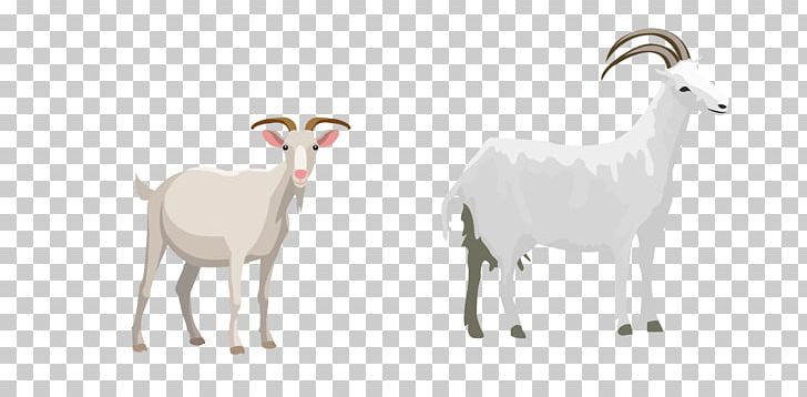 Sheep Goat Cattle Illustration PNG, Clipart, Animals, Camel Like Mammal, Cartoon, Cartoon Goat, Cattle Like Mammal Free PNG Download