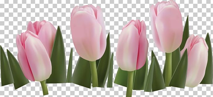Border Flowers Tulip Floral Design PNG, Clipart, Border, Border Flowers, Cut Flowers, Flower, Flowering Plant Free PNG Download