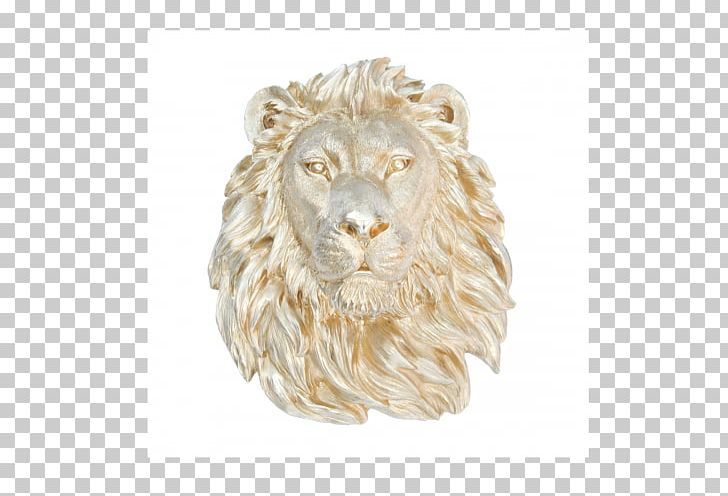 Lionhead Rabbit White-tailed Deer Taxidermy PNG, Clipart, Animals, Antler, Big Cats, Carnivoran, Cat Like Mammal Free PNG Download