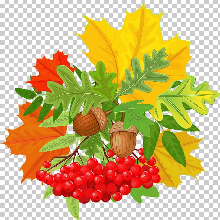 Natural Foods Food Leaf PNG, Clipart, Cartoon, Dots Per Inch, Download, Flower, Flowering Plant Free PNG Download