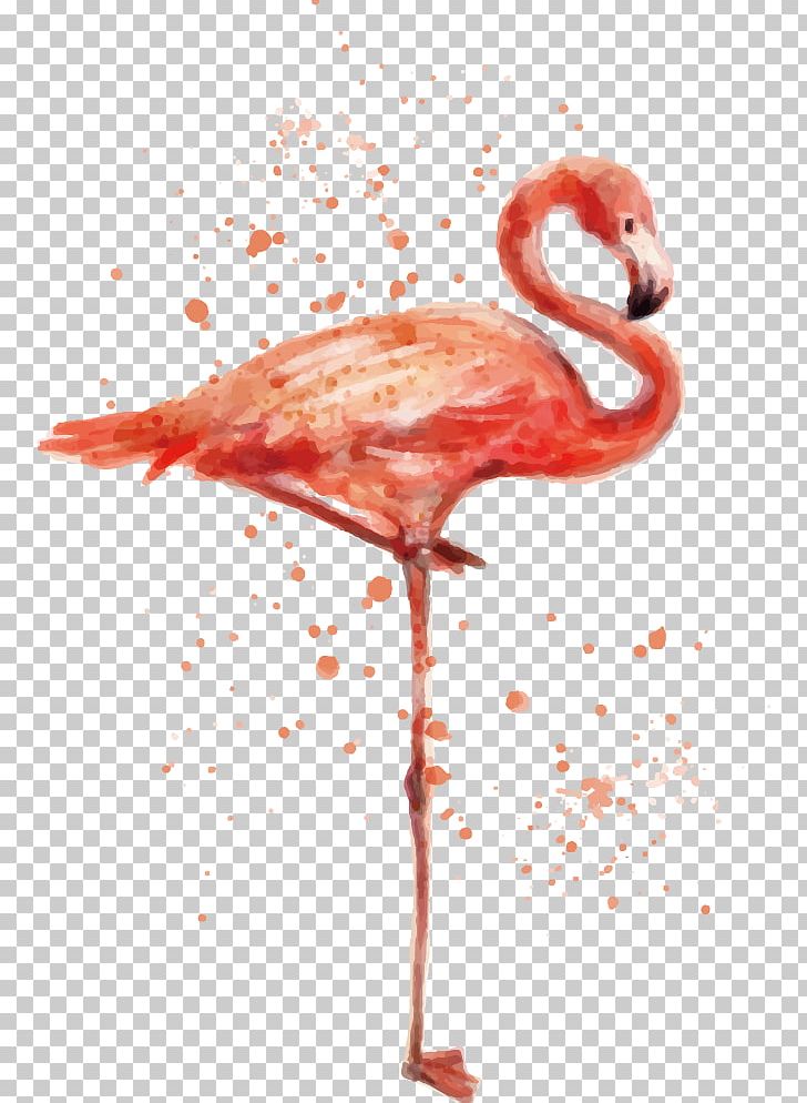 Flamingo Bird T-shirt Painting Animal PNG, Clipart, Animals, Art, Beak, Fla, Flamingos Vector Free PNG Download