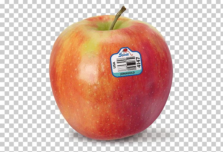 Apple McIntosh Jonagold Food Red Delicious PNG, Clipart, Apple, Cortland, Cripps Pink, Diet Food, Empire Apples Free PNG Download