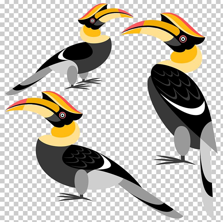 Bird Great Hornbill Rhinoceros Hornbill PNG, Clipart, Animals, Beak, Cartoon, Drawing, Fauna Free PNG Download