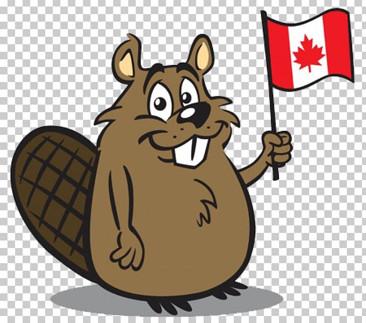 Eurasian Beaver Canada Cartoon PNG, Clipart, Beaver, Canada, Carnivoran, Cartoon, Chipmunk Free PNG Download