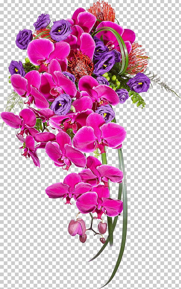 Floral Design Cut Flowers Moth Orchids Dendrobium PNG, Clipart, Cut Flowers, Dendrobium, Family, Flora, Floral Design Free PNG Download