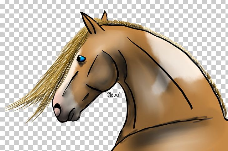 Mane Pony Mustang Halter Stallion PNG, Clipart, Bridle, Colt, Ear, Fictional Character, Friesian Free PNG Download