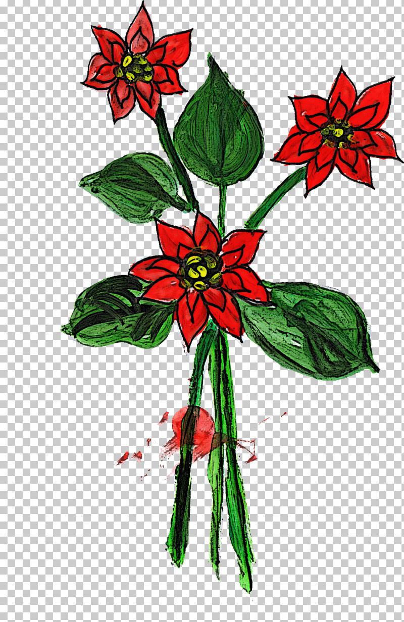 Flower Plant Red Poinsettia Wildflower PNG, Clipart, Flower, Plant, Poinsettia, Red, Wildflower Free PNG Download