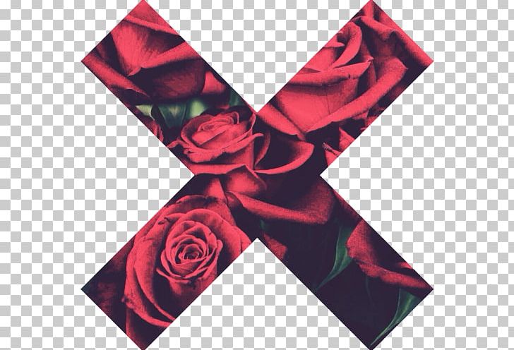 Garden Roses Desktop Red Blue Rose PNG, Clipart, Black Rose, Blue, Blue Rose, Desktop Wallpaper, Flower Free PNG Download