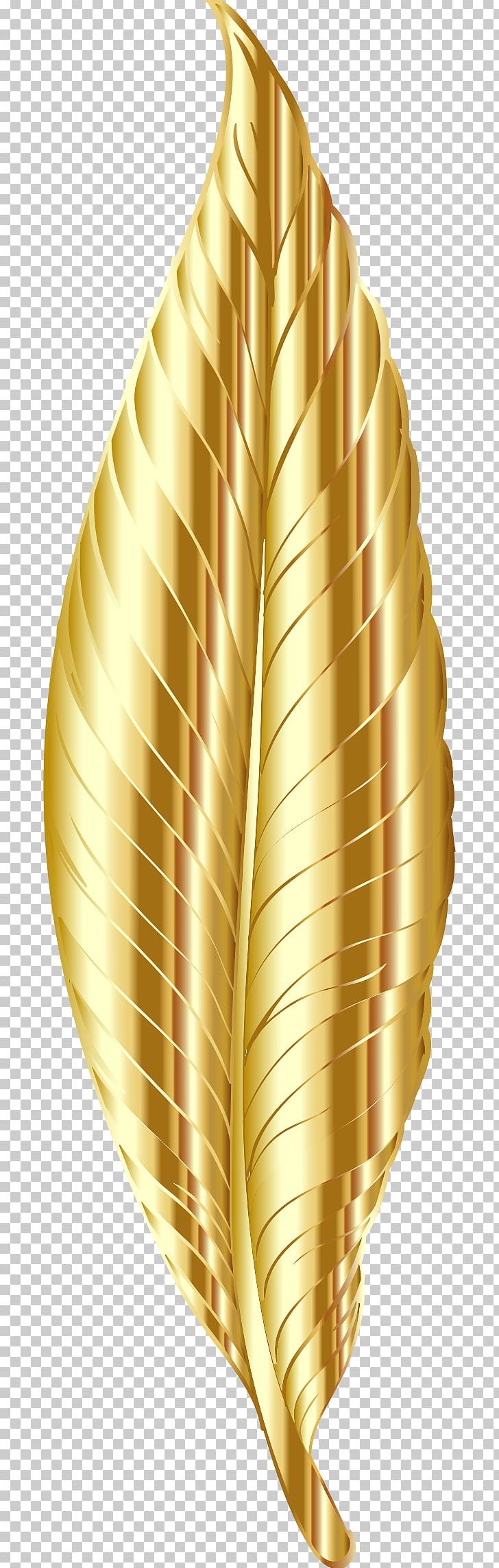 Gold Feather PNG, Clipart, Asiatic Peafowl, Color, Computer Icons, Description, Feather Free PNG Download