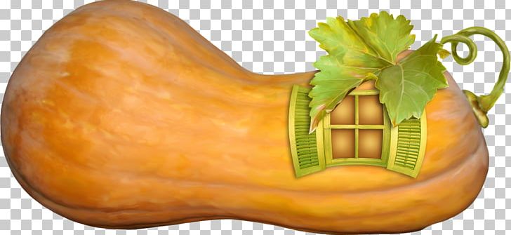 Pumpkin Calabaza Cucurbita Maxima Gourd Winter Squash PNG, Clipart, Adobe Icons Vector, Camera Icon, Cartoon, Cartoon Creative, Creative Free PNG Download