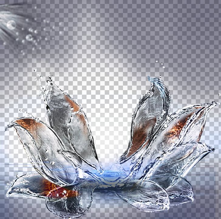 Water Glass PNG, Clipart, Adobe Illustrator, Color Splash, Computer Wallpaper, Drop, Encapsulated Postscript Free PNG Download