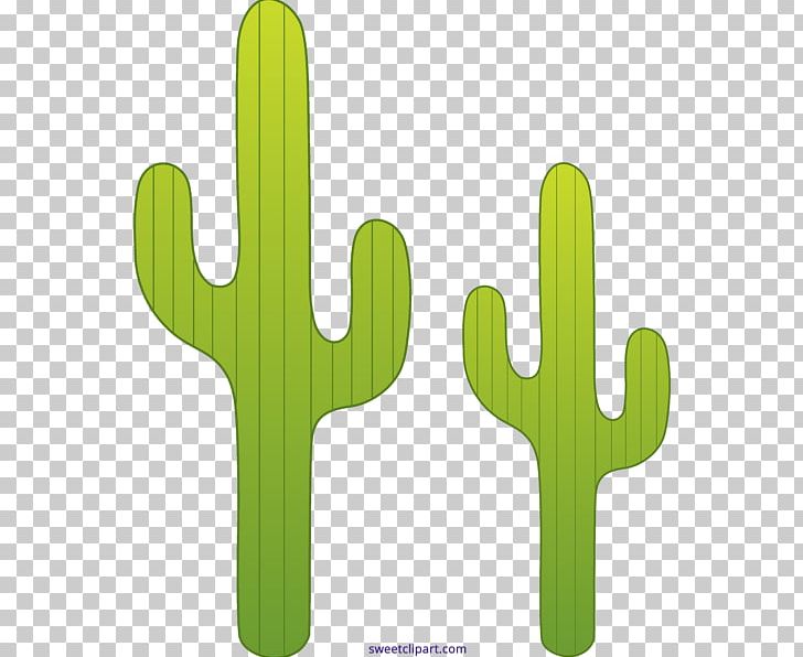 Cactaceae Saguaro Desert PNG, Clipart, Art, Cactaceae, Cactus, Caryophyllales, Clip Free PNG Download