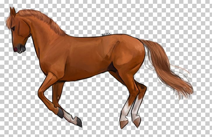 Foal Stallion Pony Colt Mustang PNG, Clipart, Animal, Animal Figure, Bit, Bridle, Colt Free PNG Download