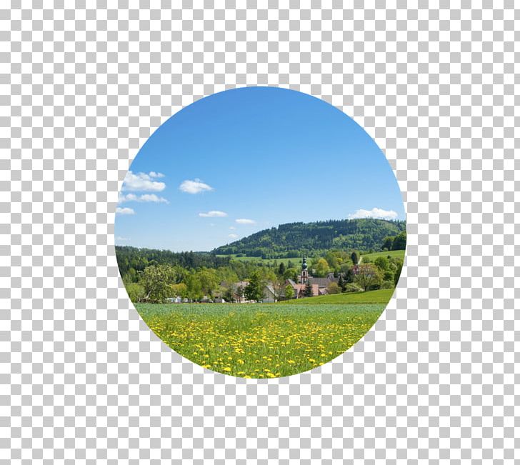 Württemberg Moosbronn Heimat Spa Meadow PNG, Clipart, Black Forest, Blomstereng, Field, Germany, Grass Free PNG Download