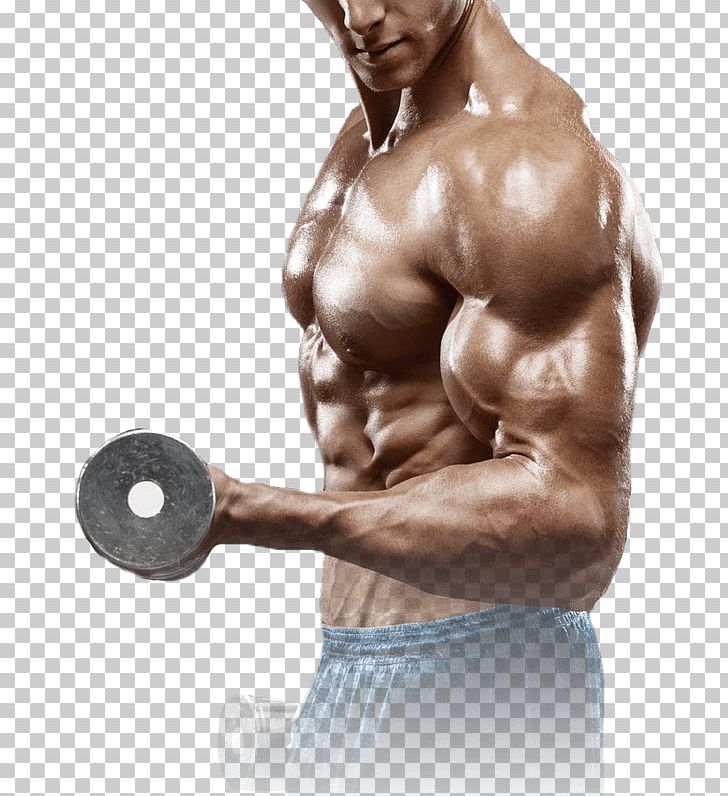 Bodybuilding Exercise Fitness Centre Health Strength Training PNG, Clipart, Abdomen, Arm, Biceps Curl, Bodybuilder, Bodybuilding Free PNG Download