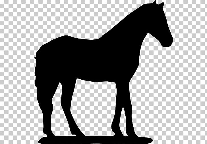 Horse Silhouette Computer Icons PNG, Clipart, Animals, Black And White, Black Side, Bridle, Colt Free PNG Download