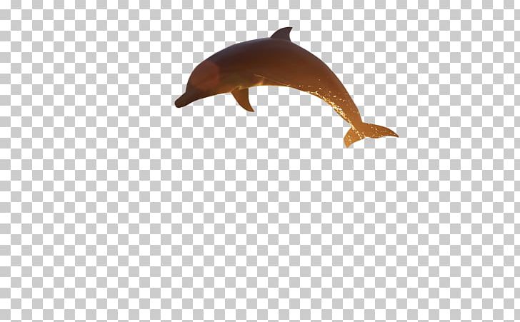 YouTube Desktop PNG, Clipart, Animal Figure, Art, Computer Icons, Desktop Wallpaper, Dolphin Free PNG Download