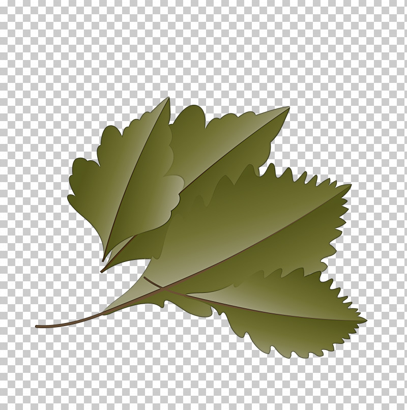 Tree Line PNG, Clipart, Autumn Leaf, Cartoon Leaf, Fall Leaf, Flower, Leaf Free PNG Download