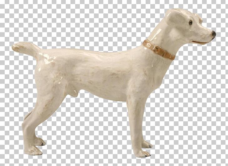 Dog Breed Sporting Group Retriever Companion Dog PNG, Clipart, Animals, Breed, Carnivoran, Companion Dog, Crossbreed Free PNG Download