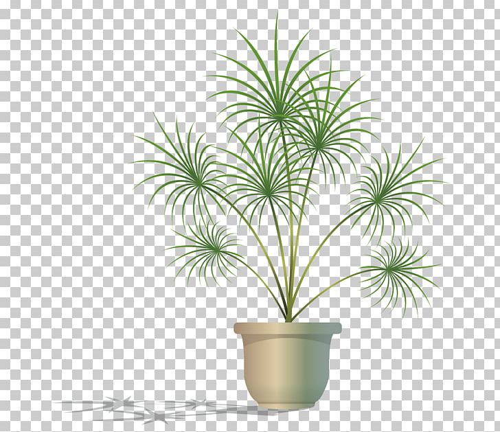 Green Potted Plant PNG, Clipart, Arecaceae, Arecales, Background Green, Bonsai, Cartoon Free PNG Download