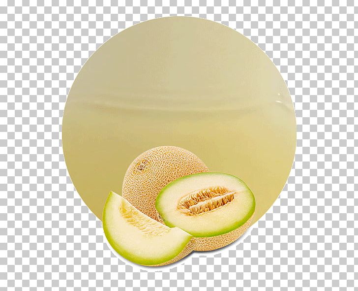 Honeydew Galia Melon Juice Cantaloupe Canary Melon PNG, Clipart, Canary Melon, Cantaloupe, Concentrate, Cucumber Gourd And Melon Family, Cucumis Free PNG Download