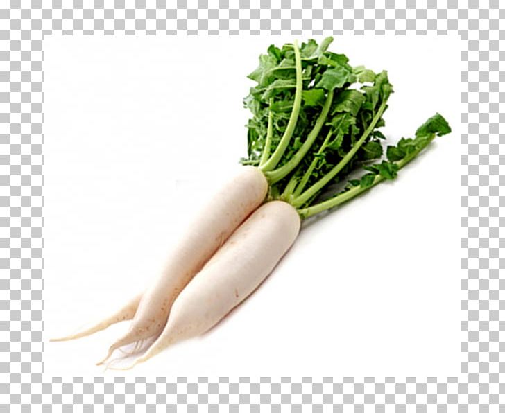 Daikon Dal Root Vegetables Food PNG, Clipart, Cabbage, Carrot, Carrots, Chard, Choy Sum Free PNG Download