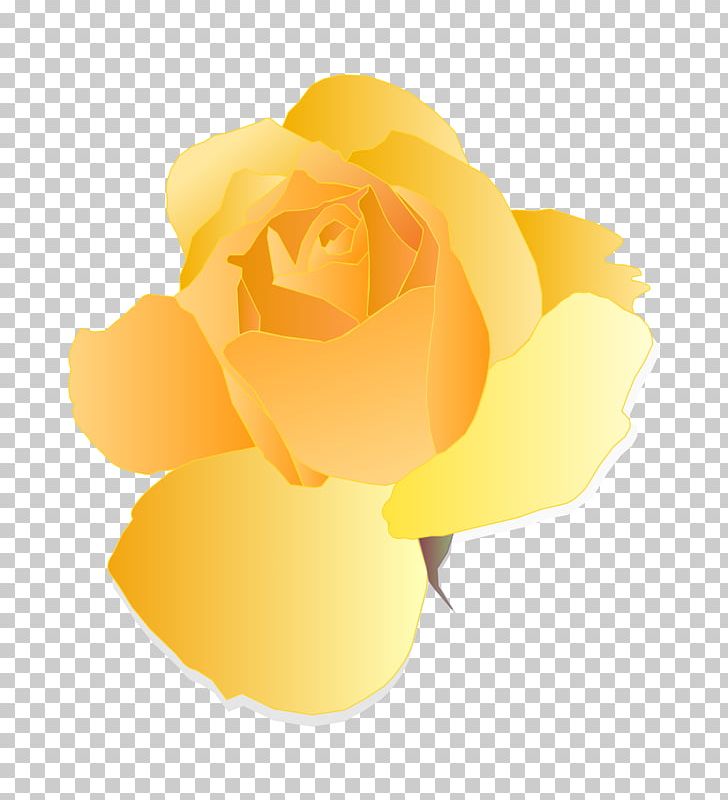 Eat And Style Rose Yellow Zazzle Thorns PNG, Clipart, Adhesive, Computer Icons, Computer Wallpaper, Cut Flowers, Decal Free PNG Download