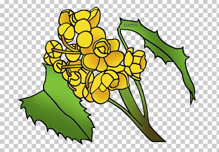 Oregon Grape California State Flower PNG, Clipart, Artwork, California, California Poppy, Commodity, Drawing Free PNG Download