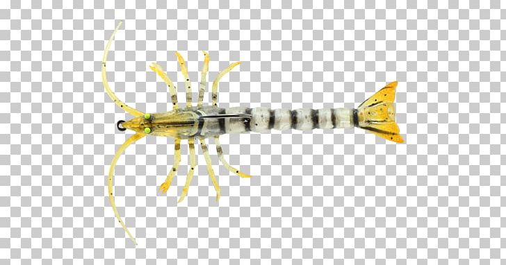 Ranged Weapon Tail Invertebrate Fish PNG, Clipart, Blood Pressure, Fish, Invertebrate, Mantis Shrimp, Organism Free PNG Download