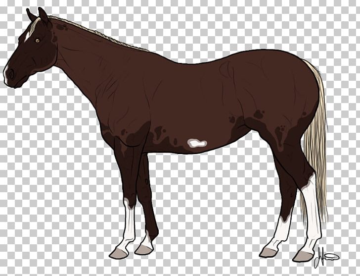 Mustang American Quarter Horse Pony Stallion Thoroughbred PNG, Clipart,  Free PNG Download