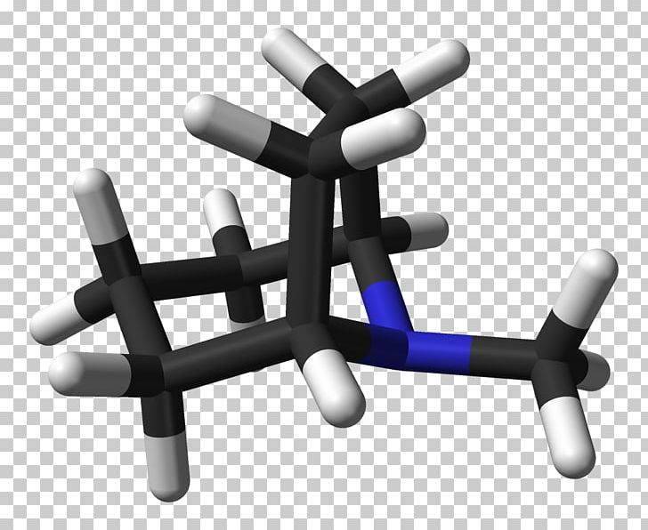 Tropane Alkaloid 3-(p-Fluorobenzoyloxy)tropane Hyoscyamus Niger PNG, Clipart, 3 D, 3pfluorobenzoyloxytropane, Alkaloid, Angle, Anisodine Free PNG Download