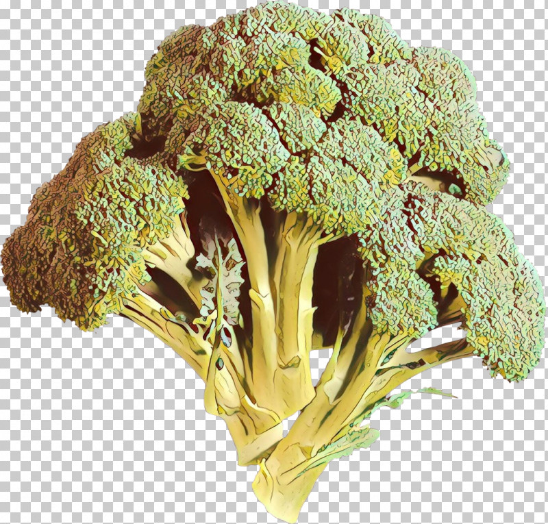 Broccoli Leaf Vegetable Vegetable Plant Food PNG, Clipart, Broccoflower, Broccoli, Flower, Food, Leaf Vegetable Free PNG Download