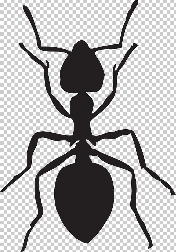 Ant PNG, Clipart, Ant, Ants, Army Ant, Arthropod, Artwork Free PNG Download