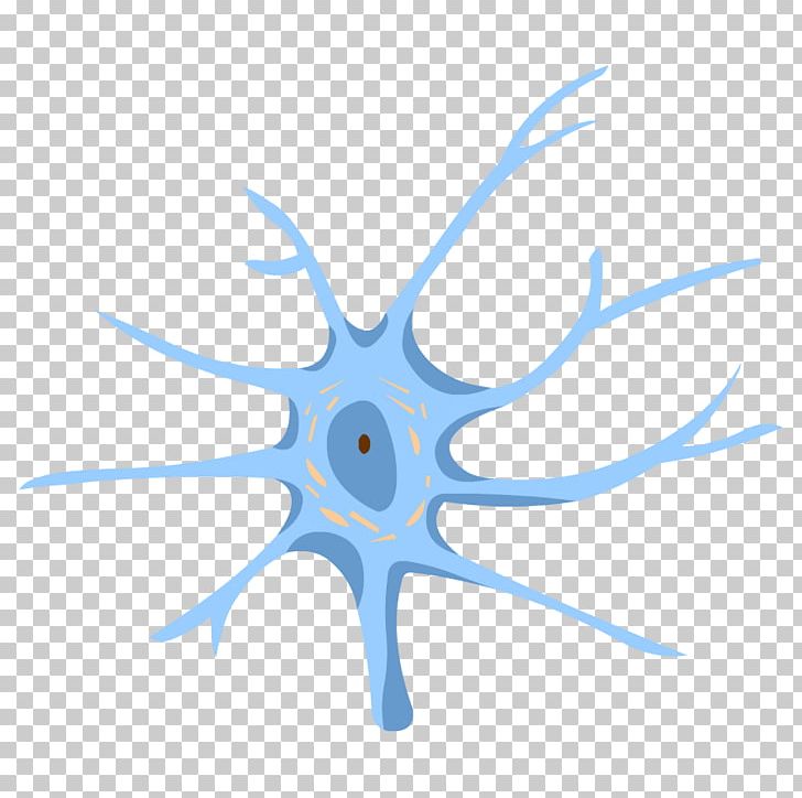 Central Nervous System Nerve Neuron Human Body PNG, Clipart, Biology, Blue, Brain, Cell, Circle Free PNG Download