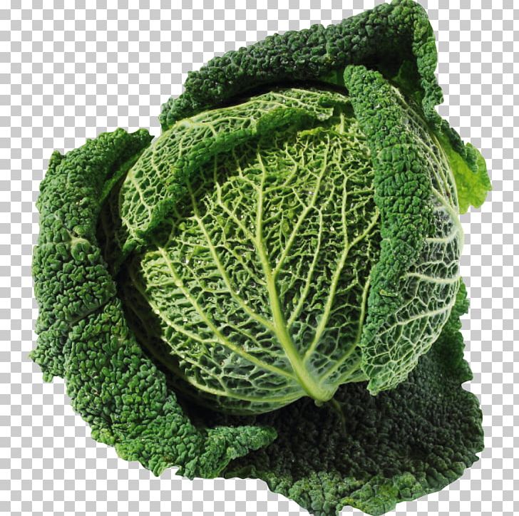 Savoy Cabbage Collard Greens Spring Greens Kale Leaf Vegetable PNG, Clipart, Brassica Oleracea, Cabbage, Collard Greens, Food Drinks, Kale Free PNG Download
