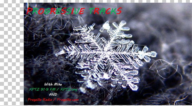 Snowflake Ice Crystals Atmosphere Of Earth PNG, Clipart, Atmosphere Of Earth, Computer Wallpaper, Crystal, Dendrite, Freezing Free PNG Download