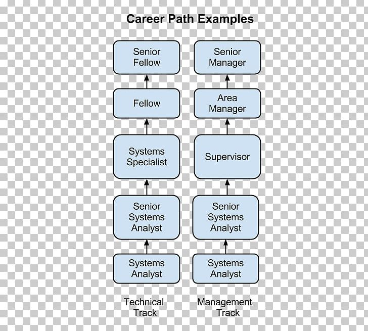 Systems Analyst Organization Career Job Description Information System PNG, Clipart, Analyst, Angle, Area, Career, Career Ladder Free PNG Download