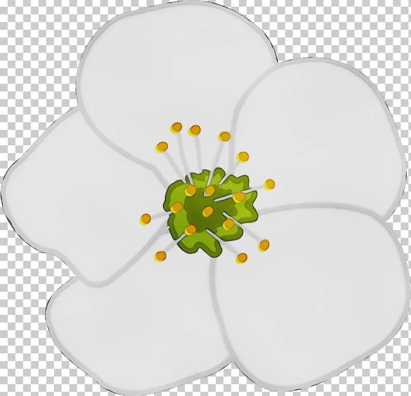 Floral Design PNG, Clipart, Biology, Floral Design, Flower, Paint, Petal Free PNG Download