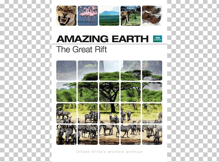 BBC Earth BBC Earth Blu-ray Disc Yellowstone National Park PNG, Clipart, Bbc, Bbc Earth, Bluray Disc, Bolcom, Brand Free PNG Download