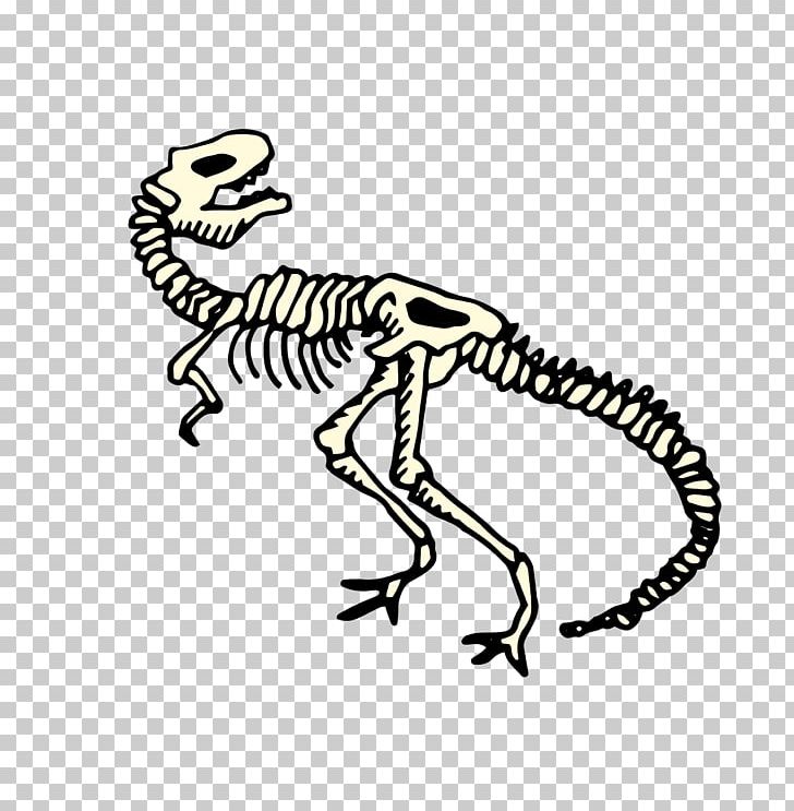 Velociraptor Dinosaur PNG, Clipart, Black And White, Dinosaur Fossil, Dinosaur Vector, Download, Fantasy Free PNG Download