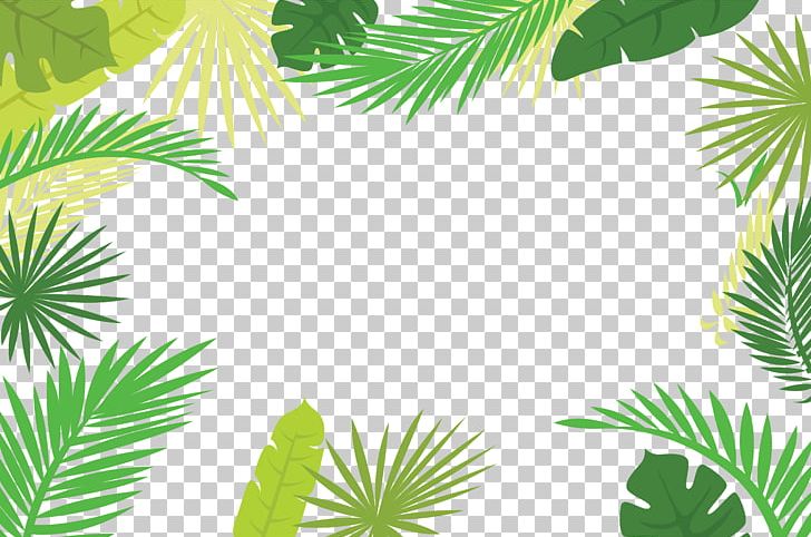 Arecaceae Text Branch Leaf Illustration PNG, Clipart, Arecales, Background, Border, Border Frame, Border Texture Free PNG Download