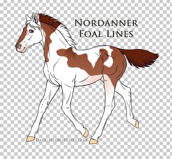 Foal Pony Mustang Mare Stallion PNG, Clipart, Animal Figure, Art, Ball Python, Bridle, Colt Free PNG Download