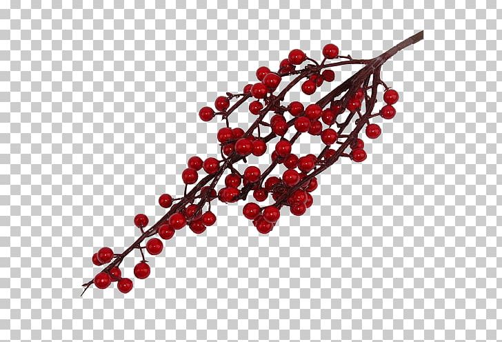Pink Peppercorn Body Jewellery PNG, Clipart, Berry, Body Jewellery, Body Jewelry, Branch, Fruit Free PNG Download