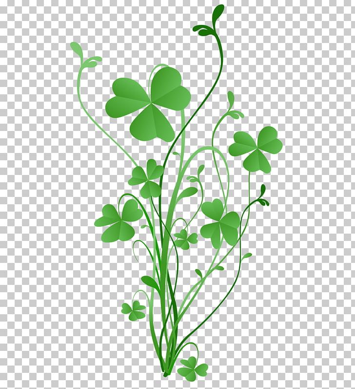 Saint Patrick's Day Shamrock Four-leaf Clover Greeting & Note Cards PNG, Clipart,  Free PNG Download